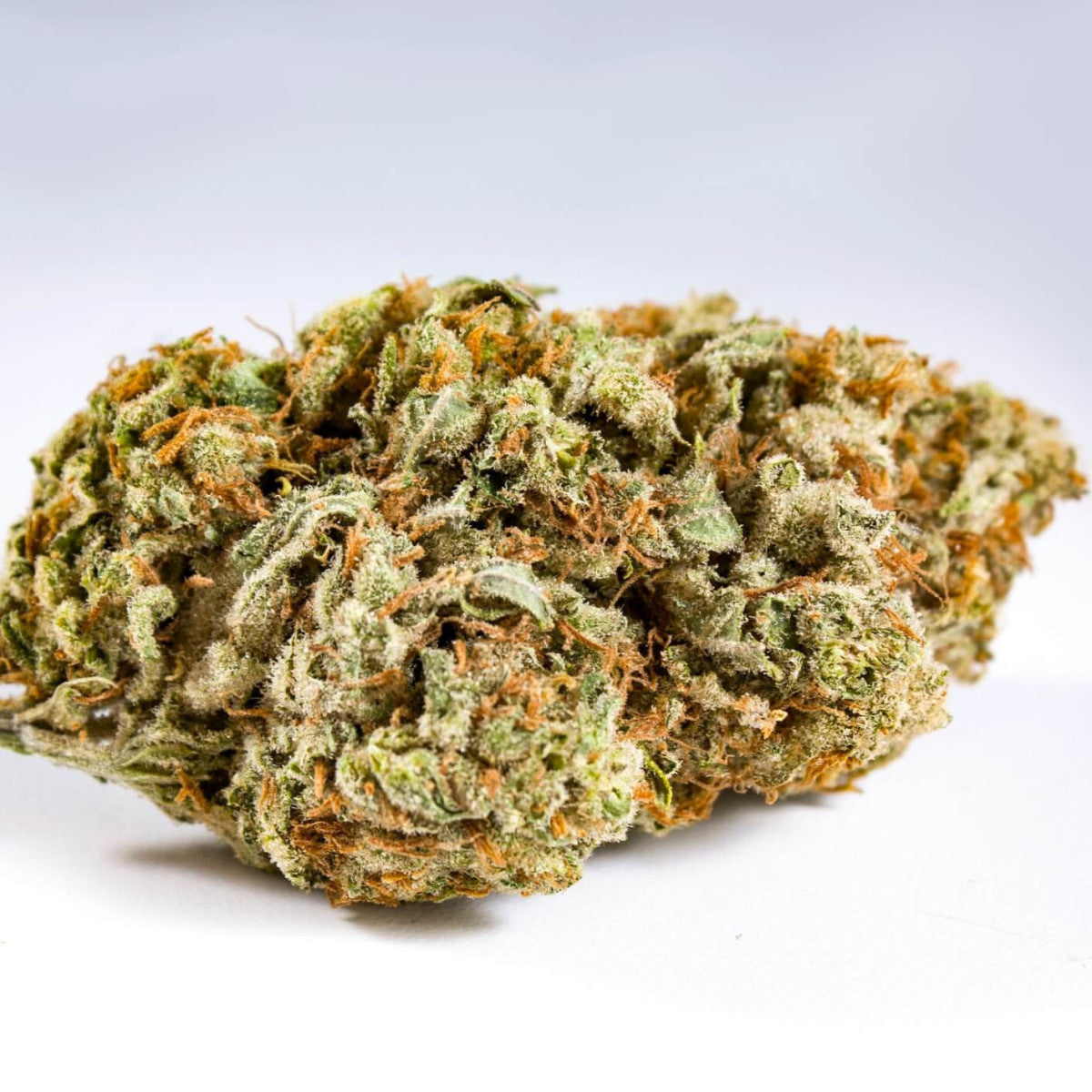 GELATO