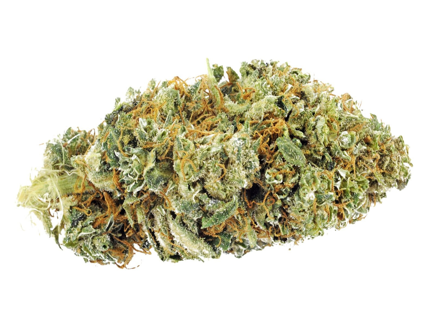 JUICY FRUITI